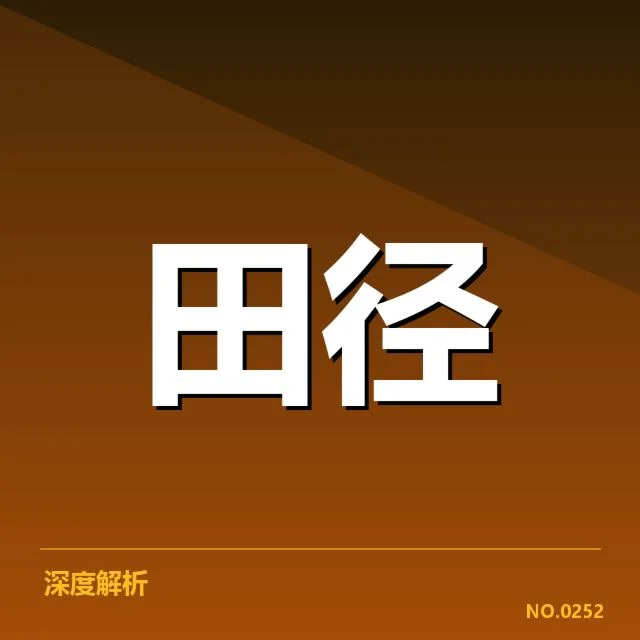 集训名单及赛程安排细节